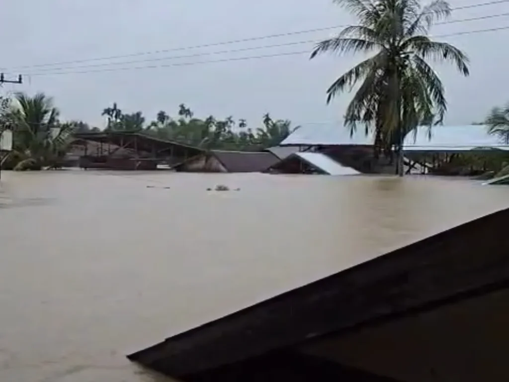 Kondisi rumah warga tengelam di Tanoh Merah Desa Lubok Pusaka, Langkahan