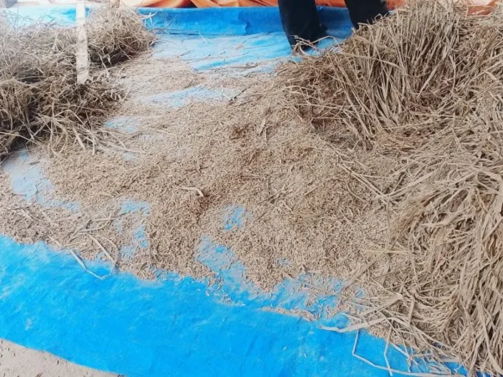 IMG_20260130_110325-scaled-1