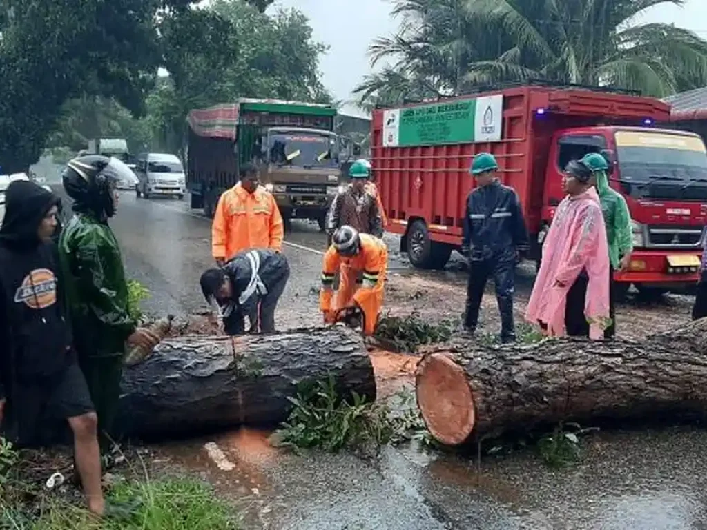 Petugas-BPBD-bersama-masyarakat-dan-aparat-sedang-mengevakuasi-pohon-tumbang